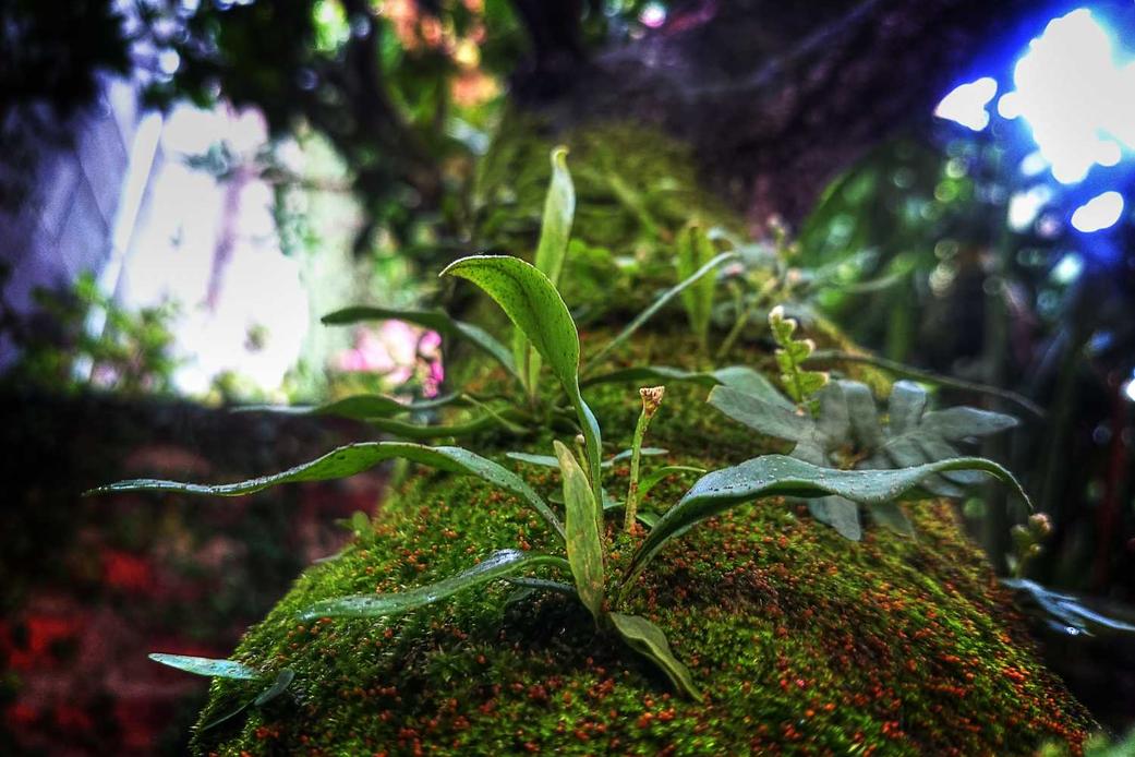 Laborum nesciunt ratione cupiditate expedita cum